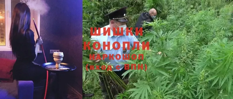 Бошки Шишки White Widow  купить наркоту  Кохма 